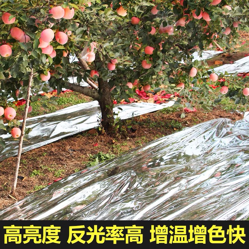 毕节市农用薄膜果树反光膜 - 推荐